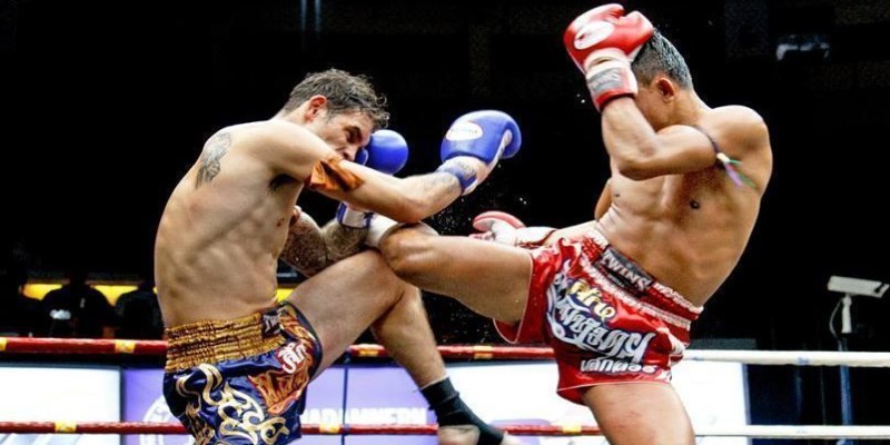 Cá cược boxing XO88 và một số thông tin cho tân thủ 1 Giới thiệu cá cược boxing XO88