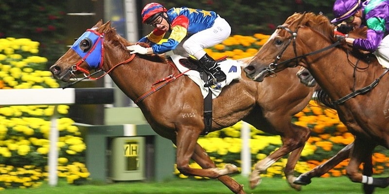 Đua ngựa online XO88 - Chơi là mê, cược là thắng lớn 1 Những trường đua ngựa online XO88 quen thuộc