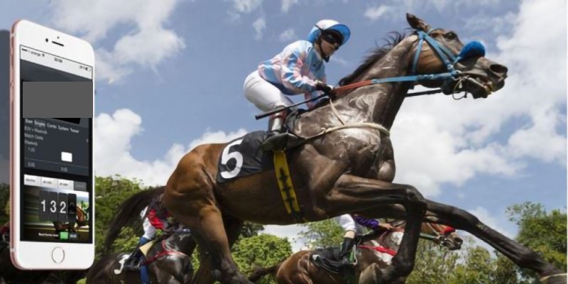 Đua ngựa online XO88 - Chơi là mê, cược là thắng lớn 2 Ưu điểm vượt bậc khi trải nghiệm đua ngựa online tại XO88